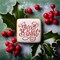 Merry & Bright Cookie & Craft Stencil | CM186 by Designer Stencils | Cookie Decorating Tools |